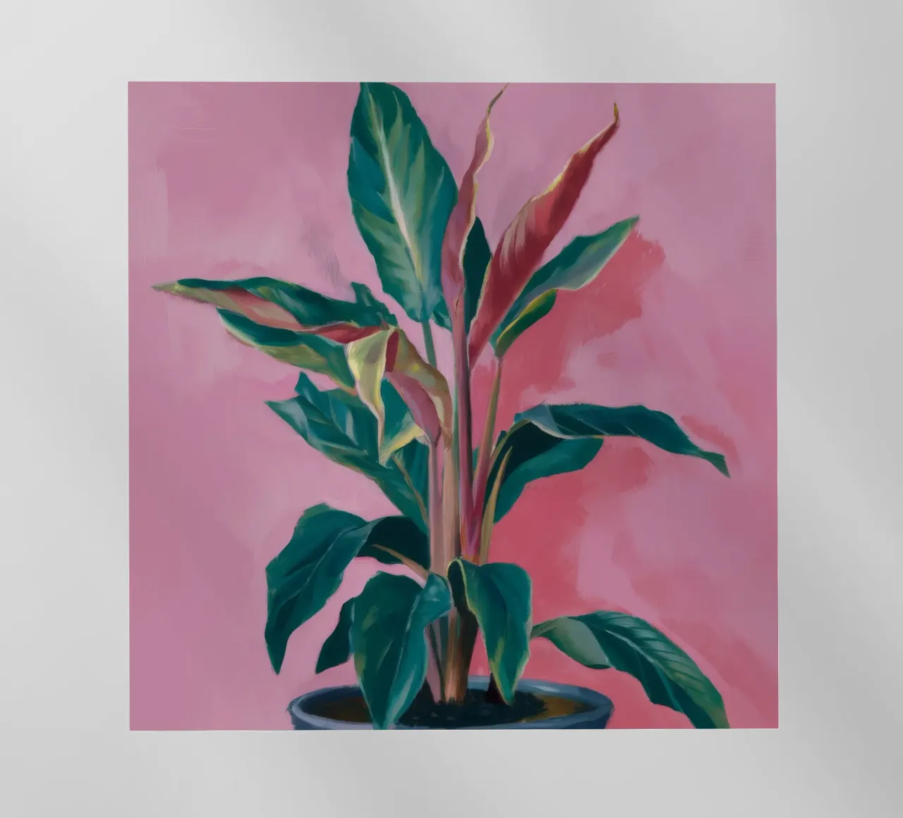 Pianta di calathea lussureggiante pellicola backlit da Pan Denim