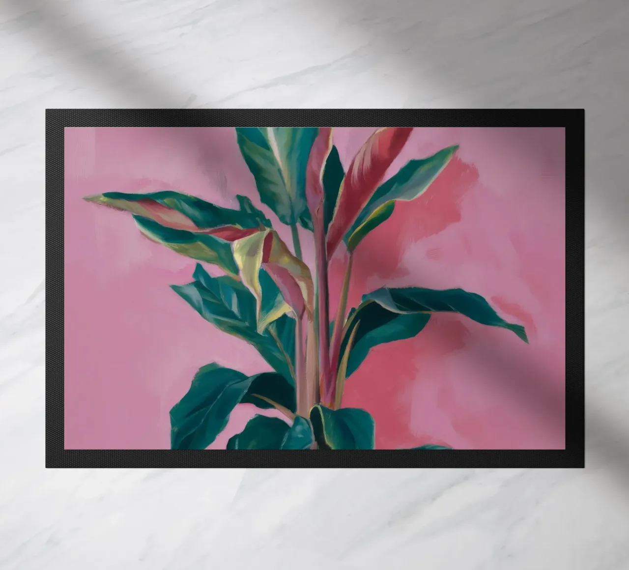Pianta di calathea lussureggiante zerbino da Pan Denim