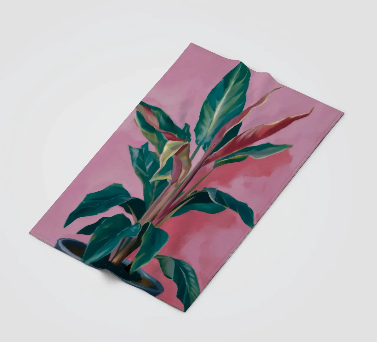 Pianta di calathea lussureggiante coperta in pile da Pan Denim