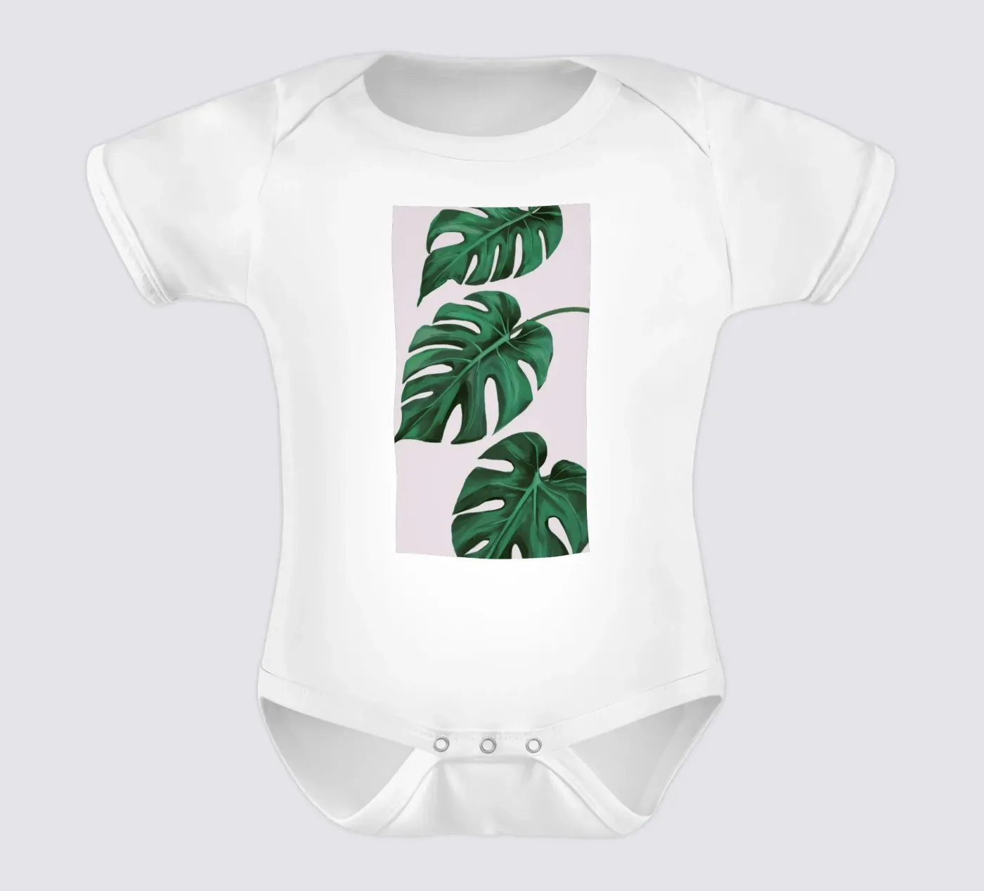 Étude sur les feuilles de monstera body bébé de Pan Denim