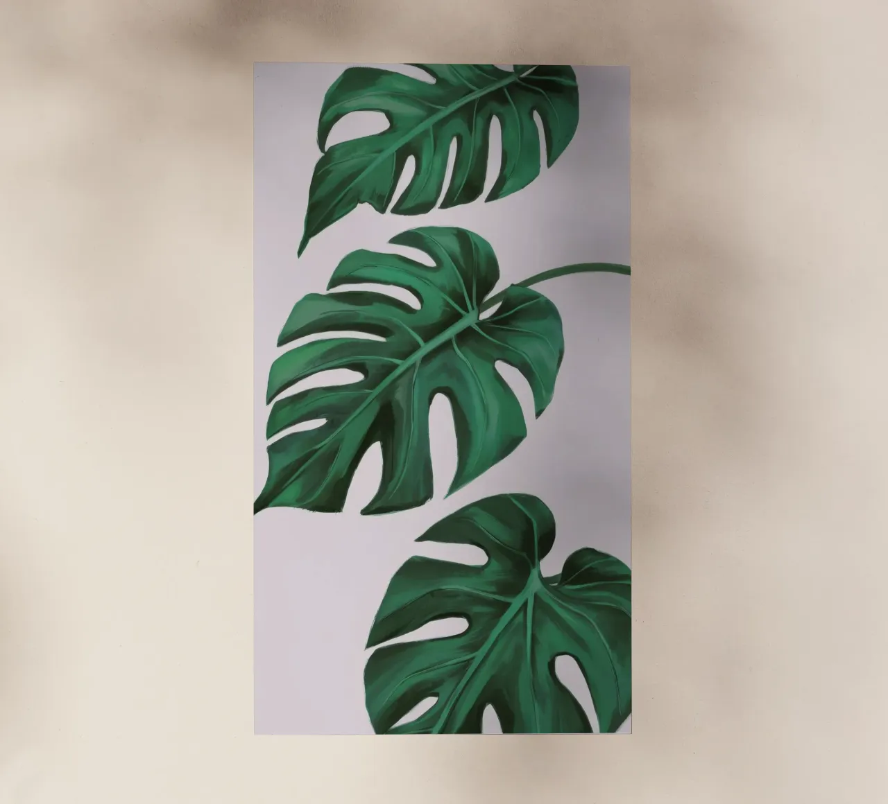 Studio sulle foglie di Monstera pellicola backlit da Pan Denim