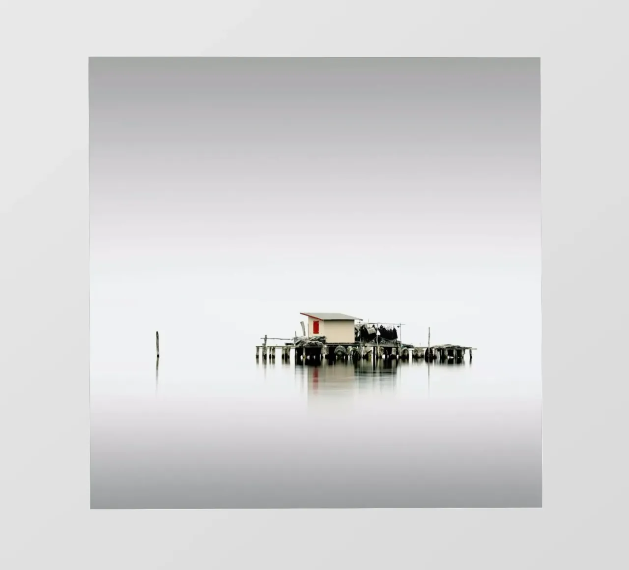 Vecchio Study 23 pellicola backlit da Håggard Photography | Ronny Behnert