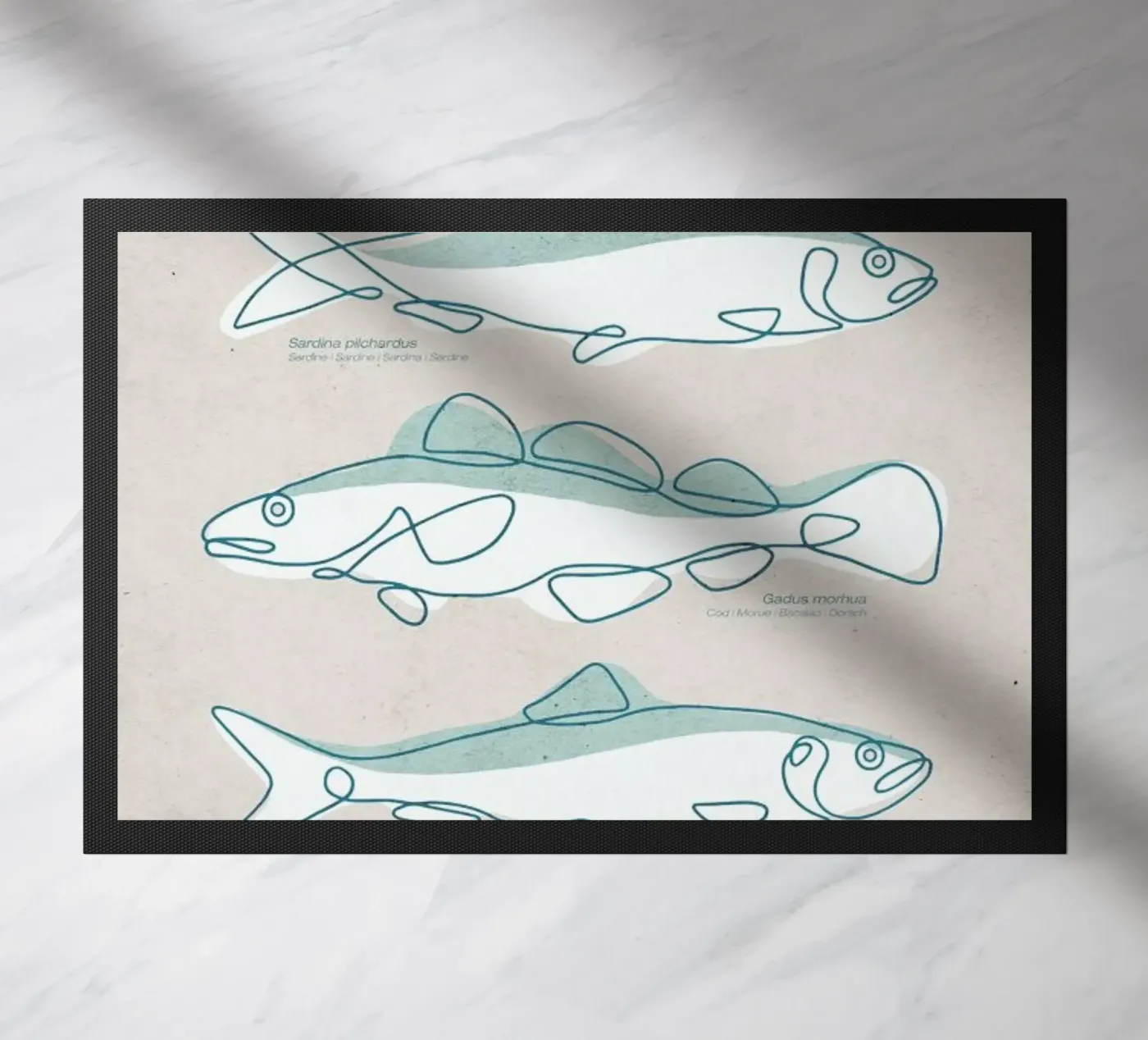 Pisces zerbino da Kuba Gornowicz