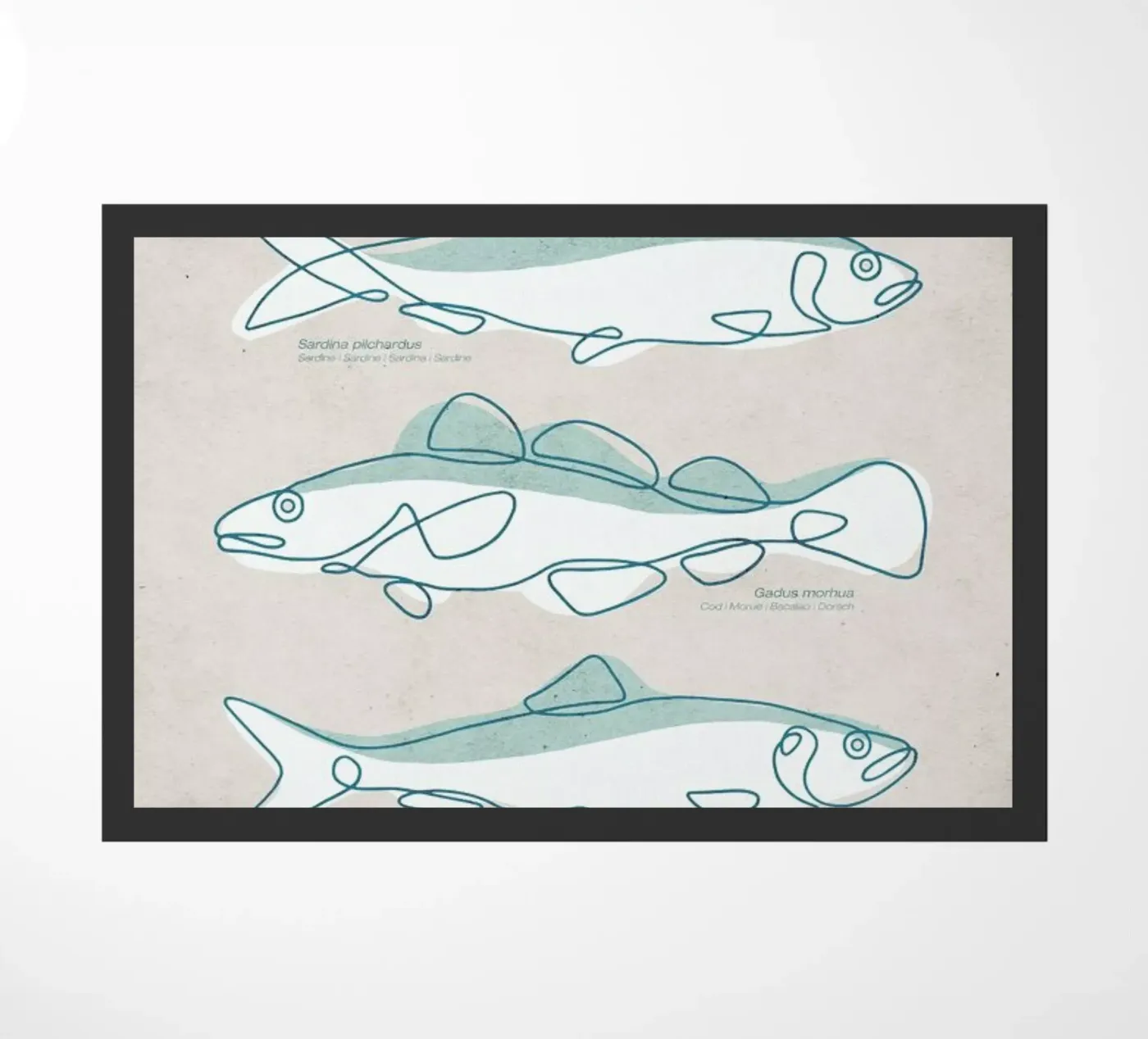 Pisces zerbino da Kuba Gornowicz