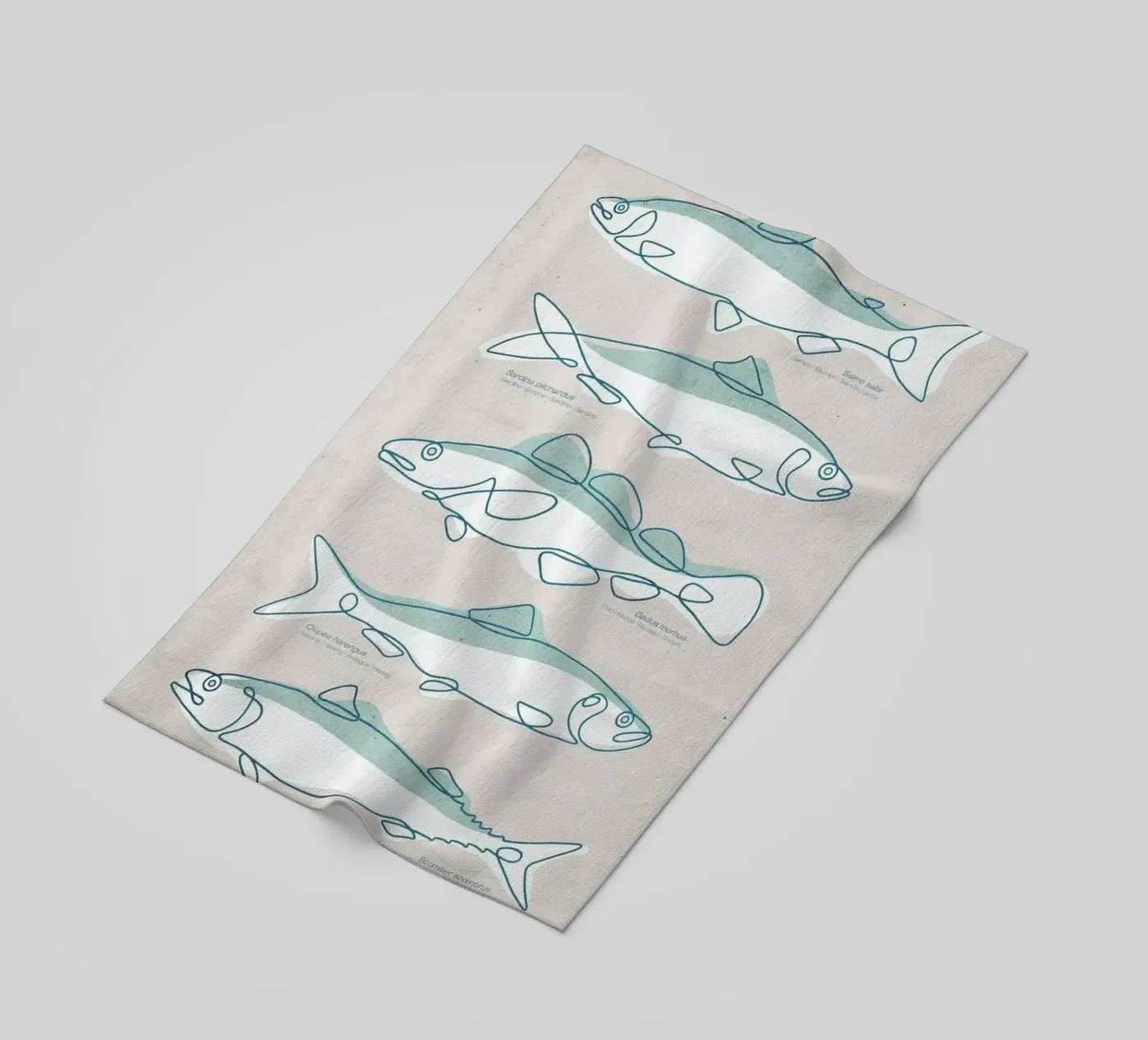 Pisces telo mare da Kuba Gornowicz