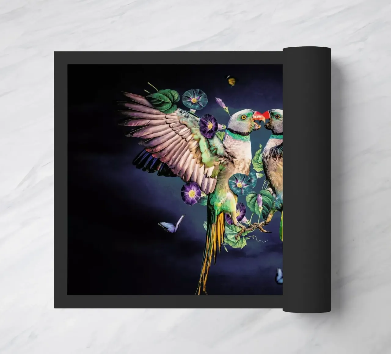 Ostrich zerbino da Wouter Rikken