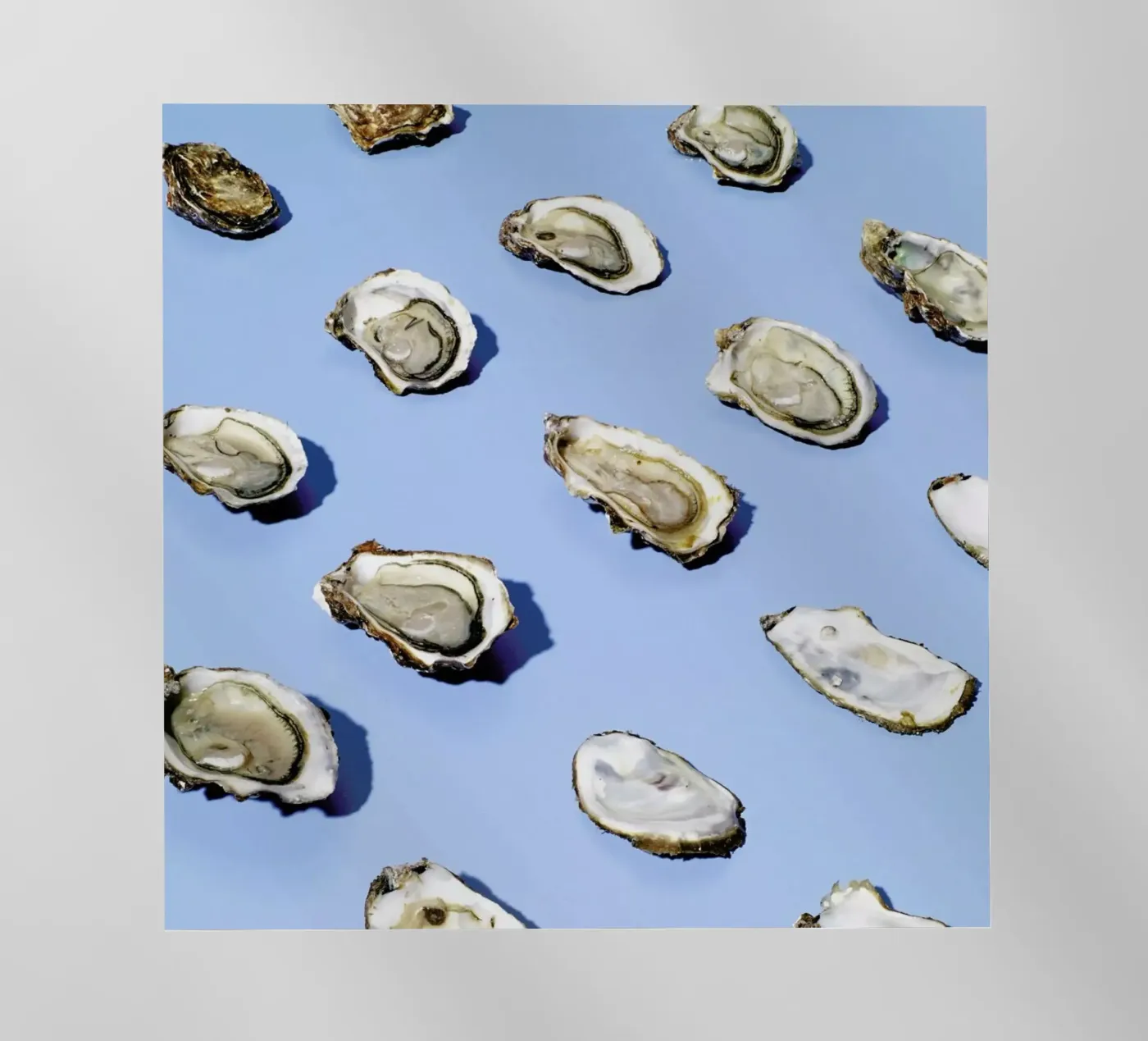 NYE 2 pellicola backlit da Kyla Elaine