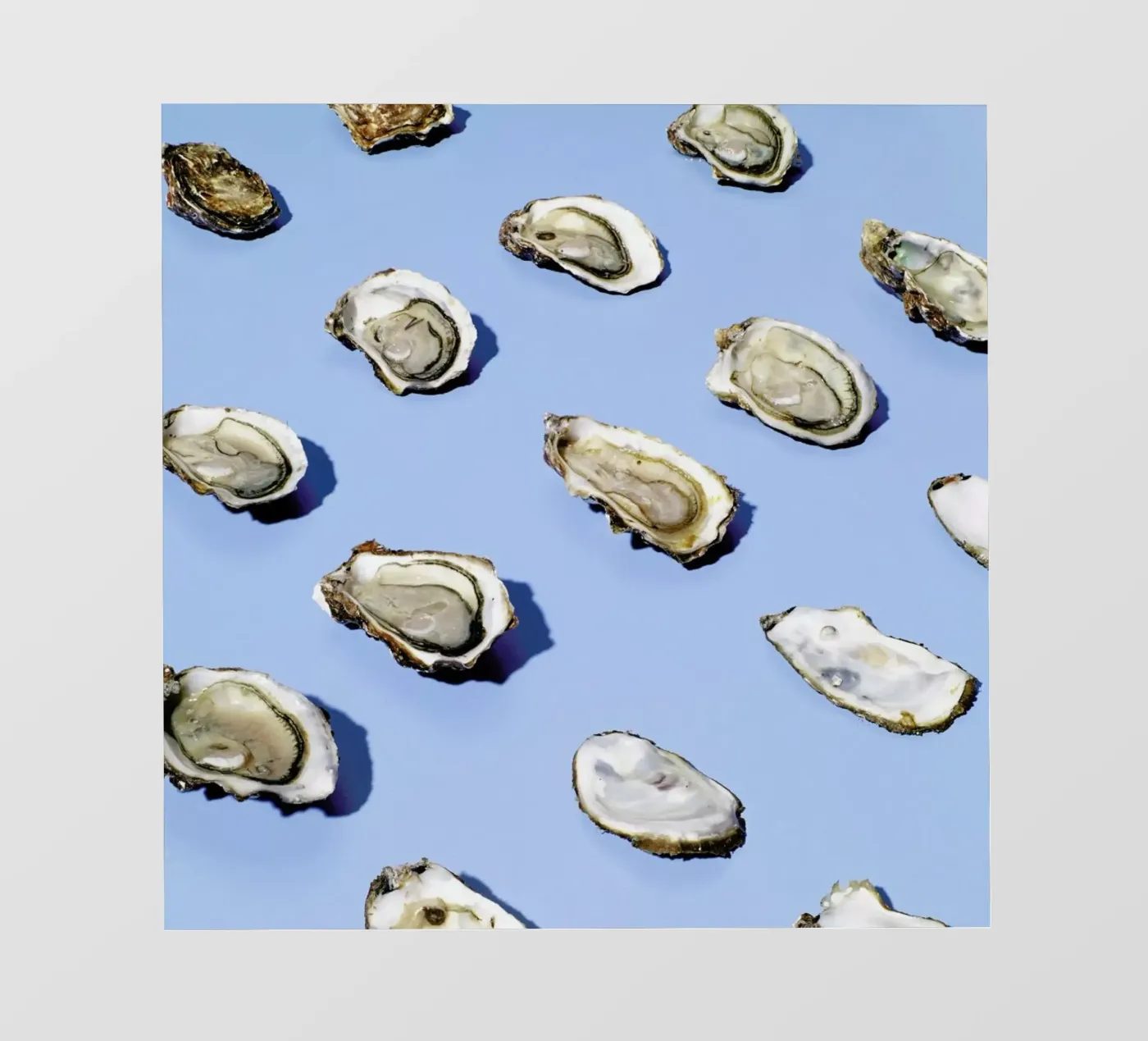 NYE 2 pellicola backlit da Kyla Elaine