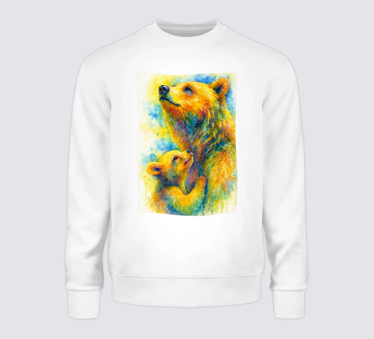 orso e cubo pittura colorata felpa da toegoe