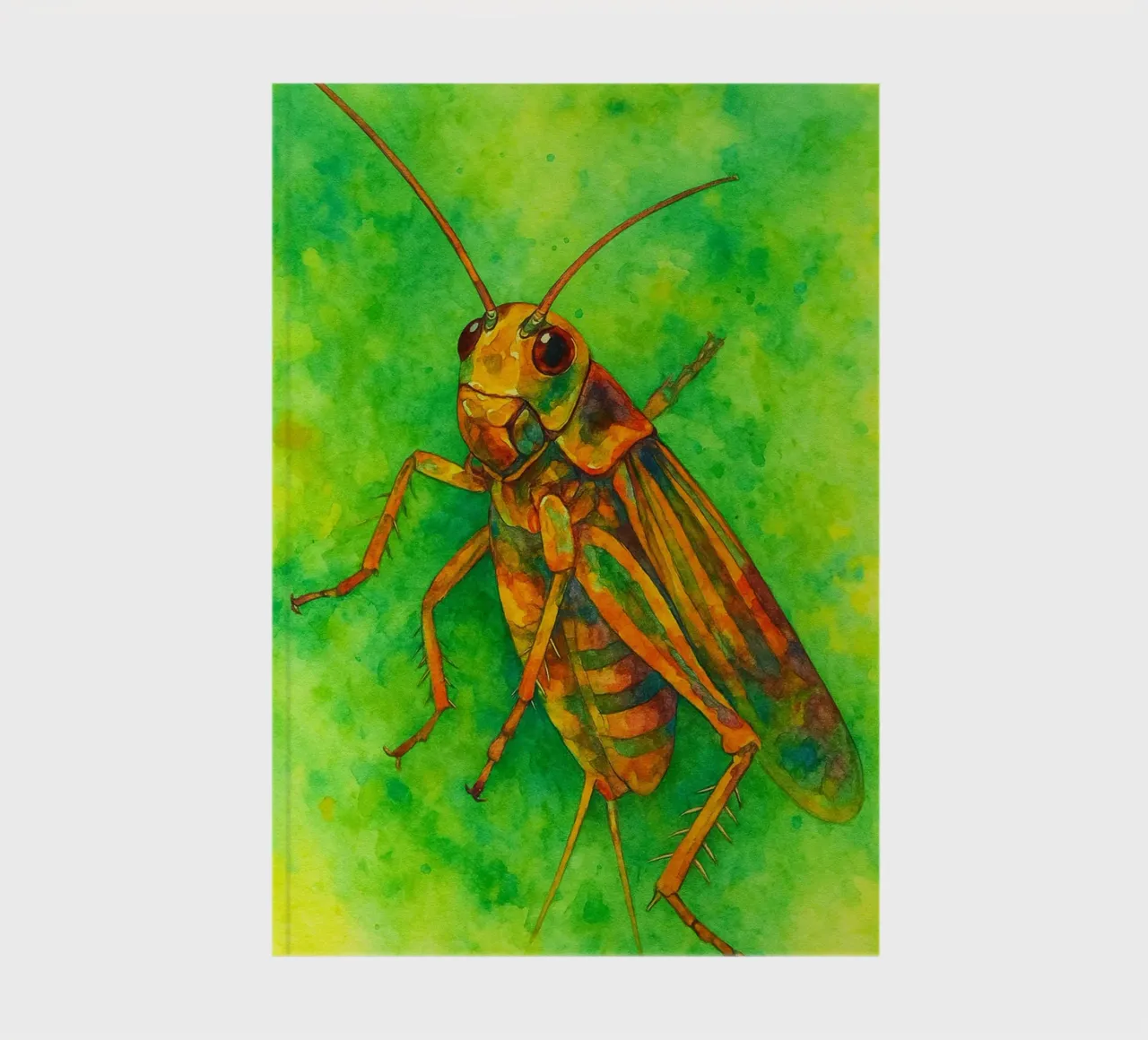 cricket colorfull painting notebook by toegoe