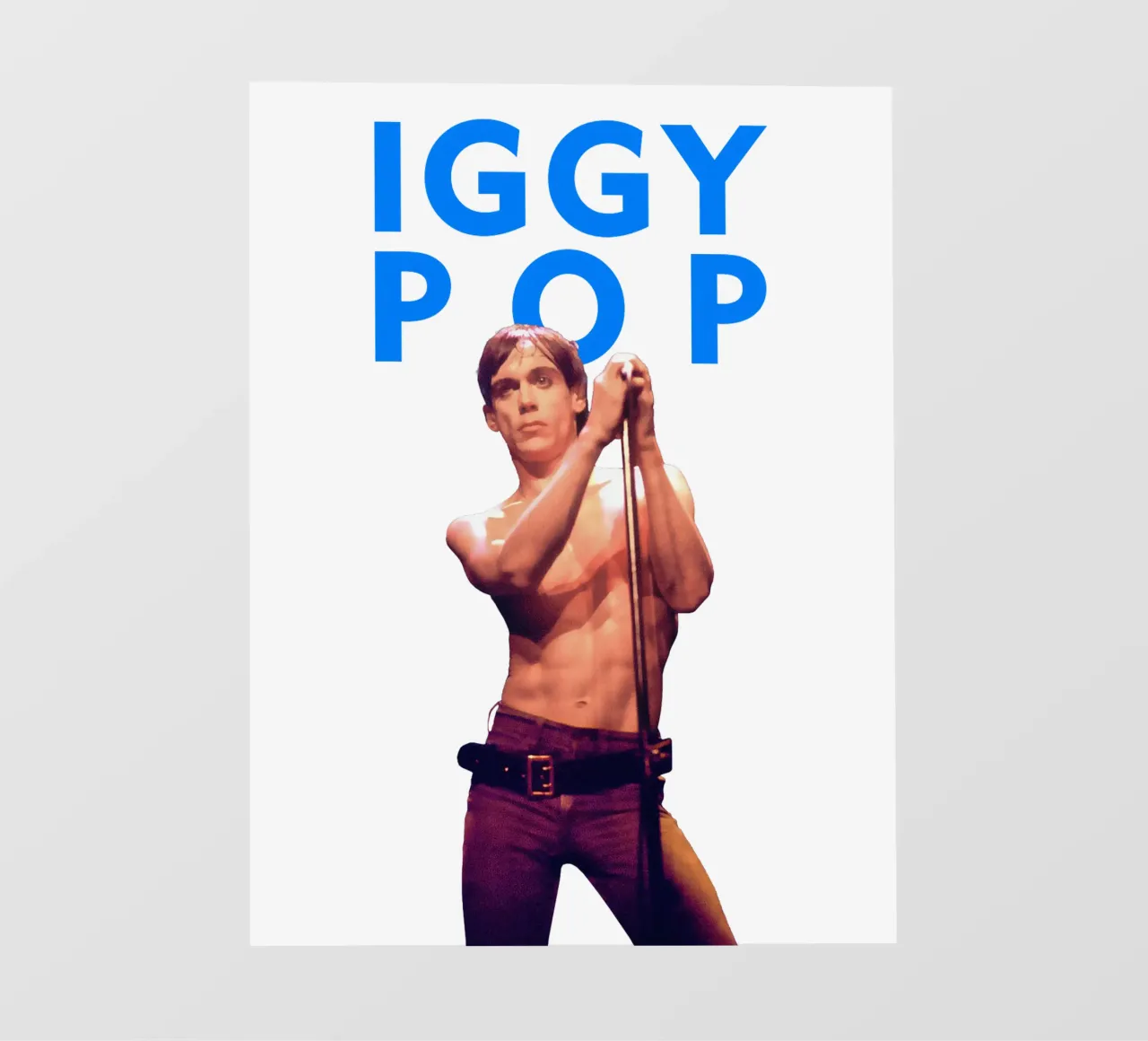 Iggy Pop telo in pvc da Theidolastore
