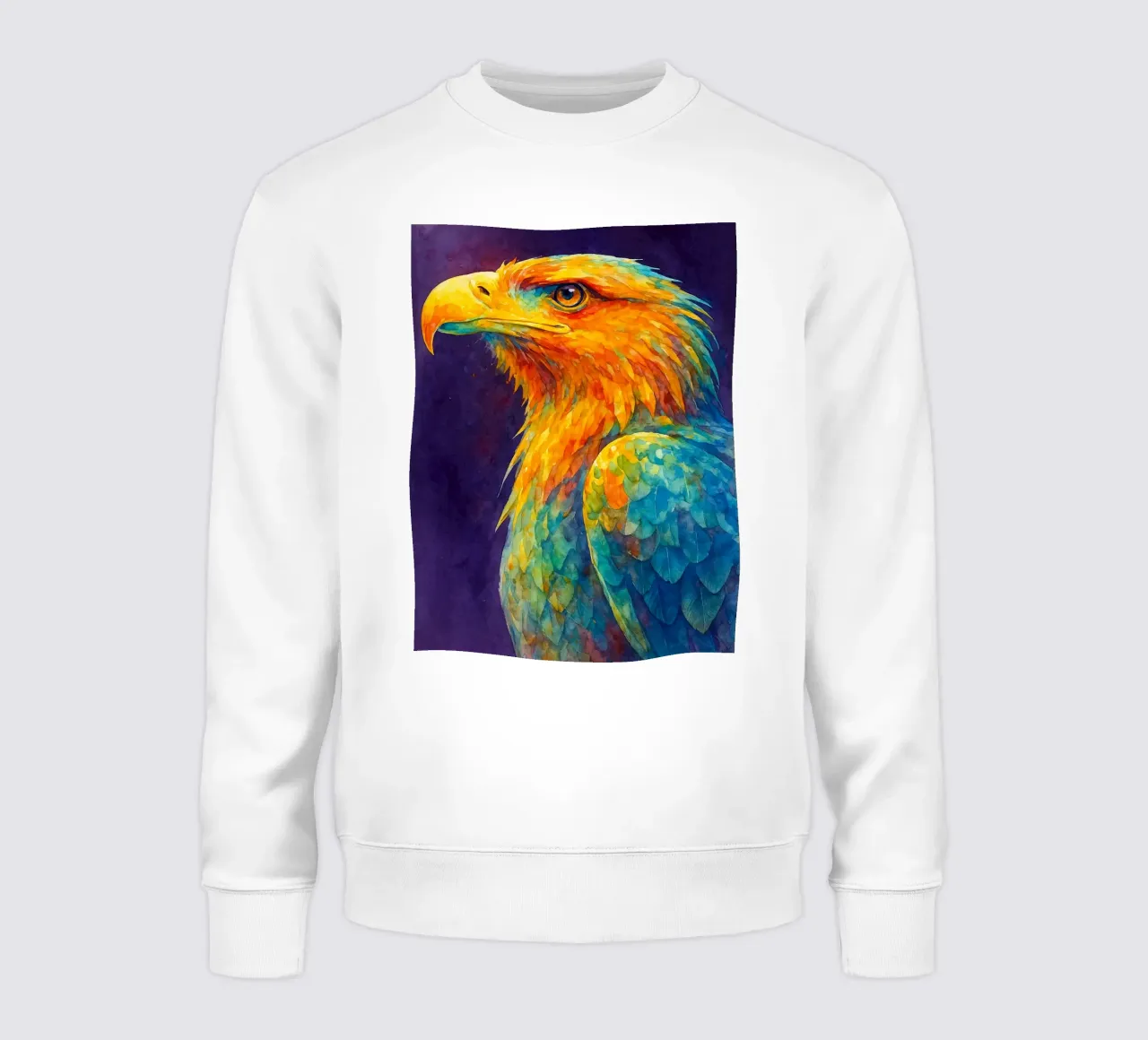eagle colorfull painting sweatshirt by toegoe