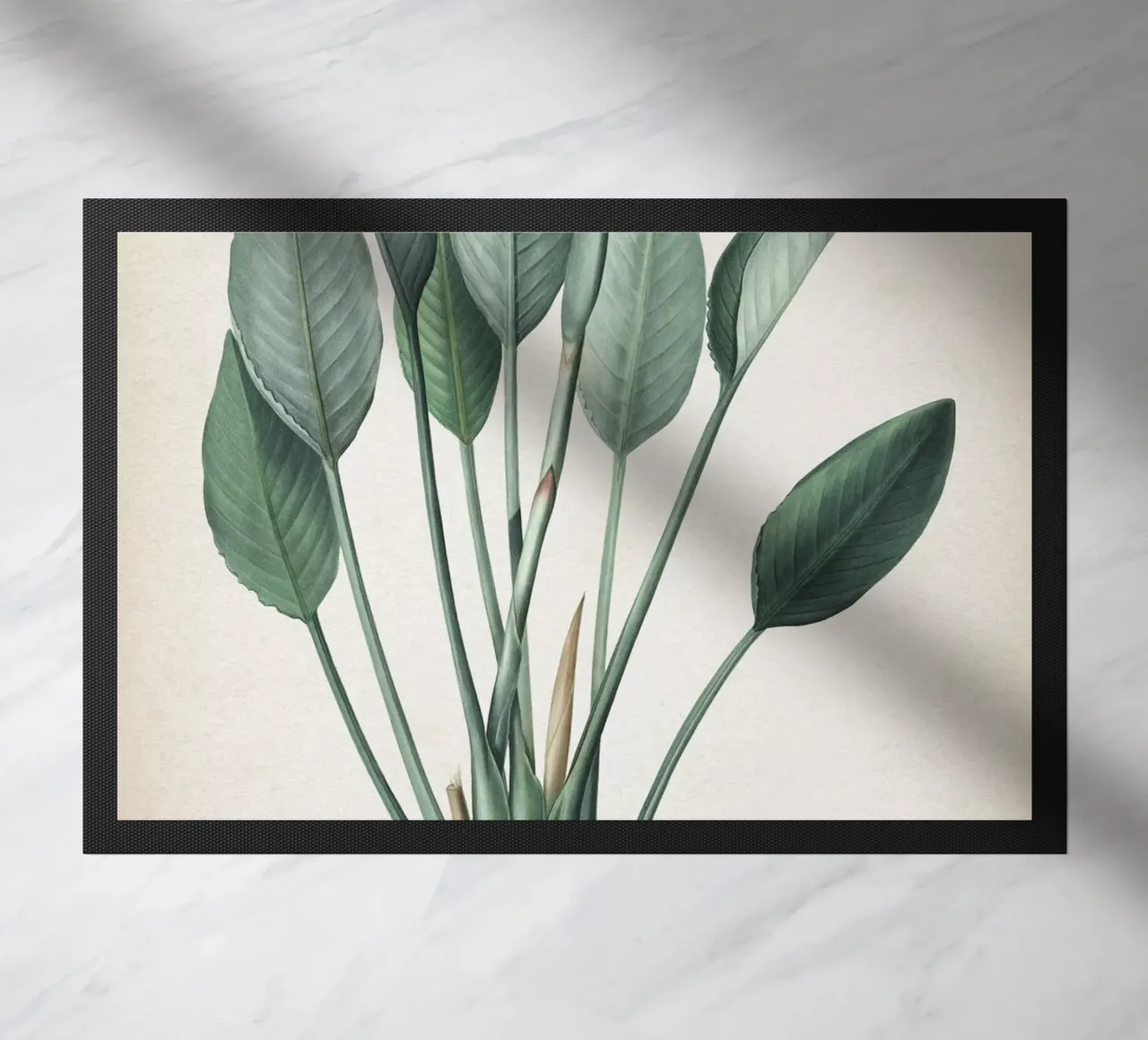 Vintage Redouté 2 Strelitzia Reginae zerbino da Vintage Print Collection