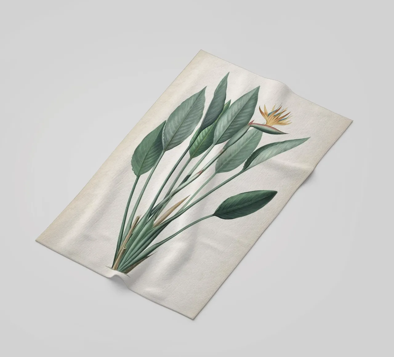 Vintage Redouté 2 Strelitzia Reginae telo mare da Vintage Print Collection
