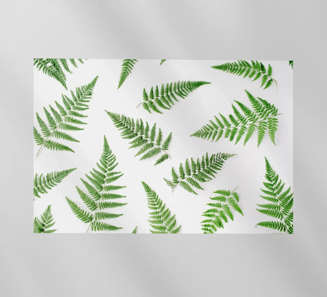 Minimalismo tropicale pellicola backlit da PhotoVibe Decor