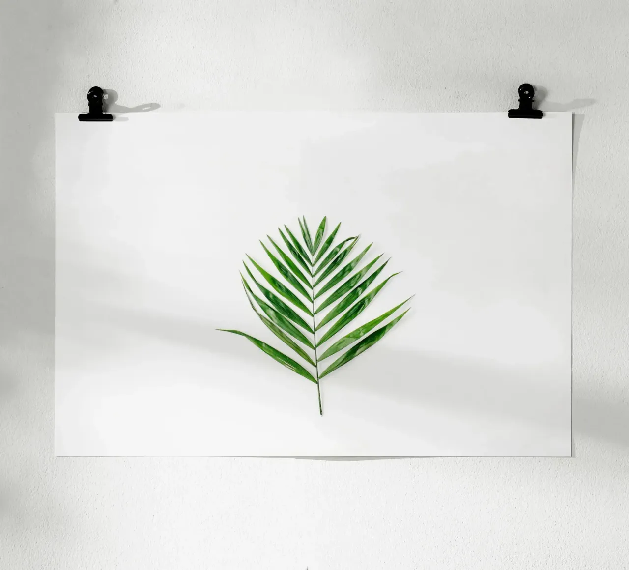 Minimalismo tropicale poster con telaio in plastica da PhotoVibe Decor