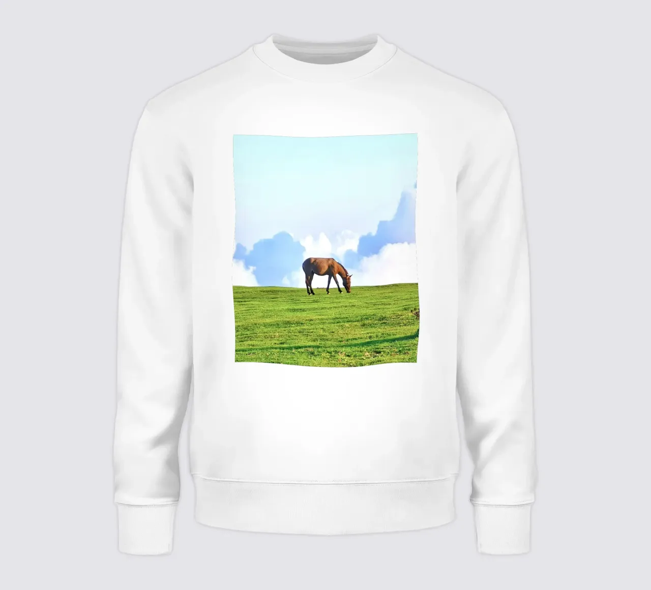 cavallo nell'erba delle nuvole felpa da Horsire
