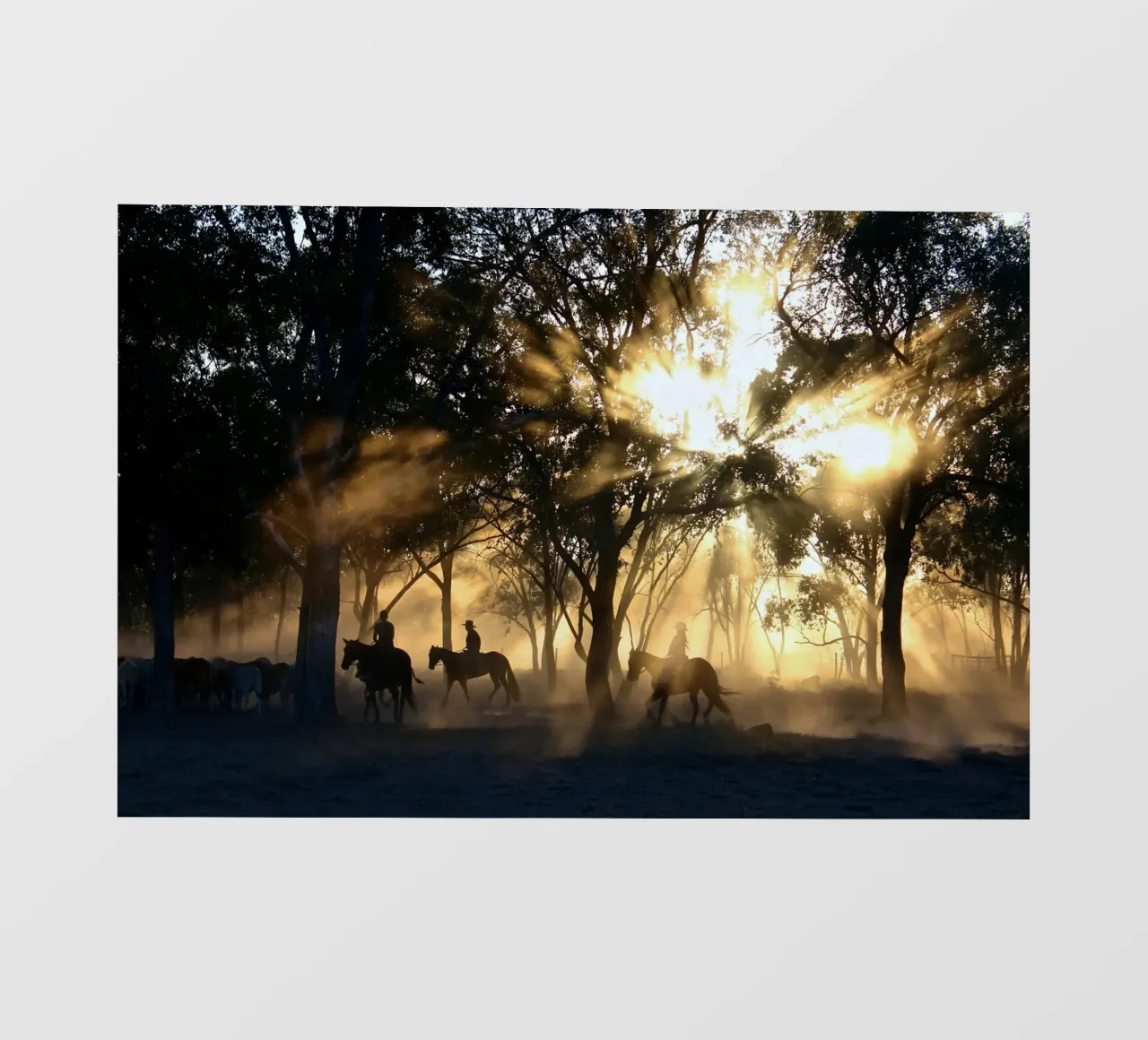 la luce del sole attraverso gli alberi e i cavalieri telo in pvc da Horsire