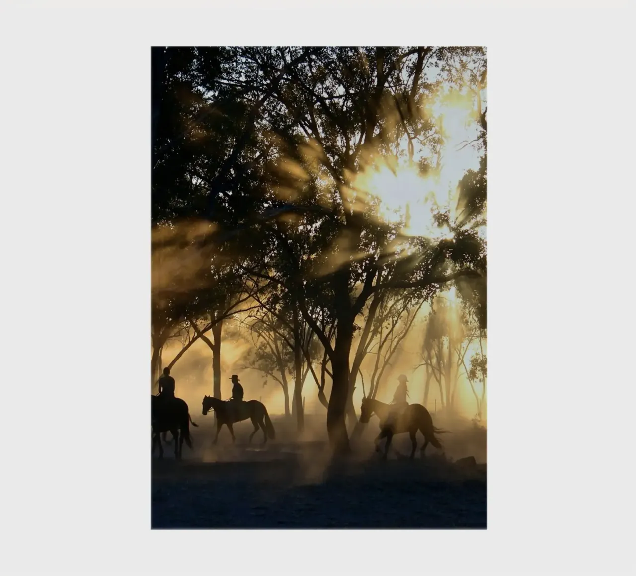 sunlight through trees and riders notebook by Horsire