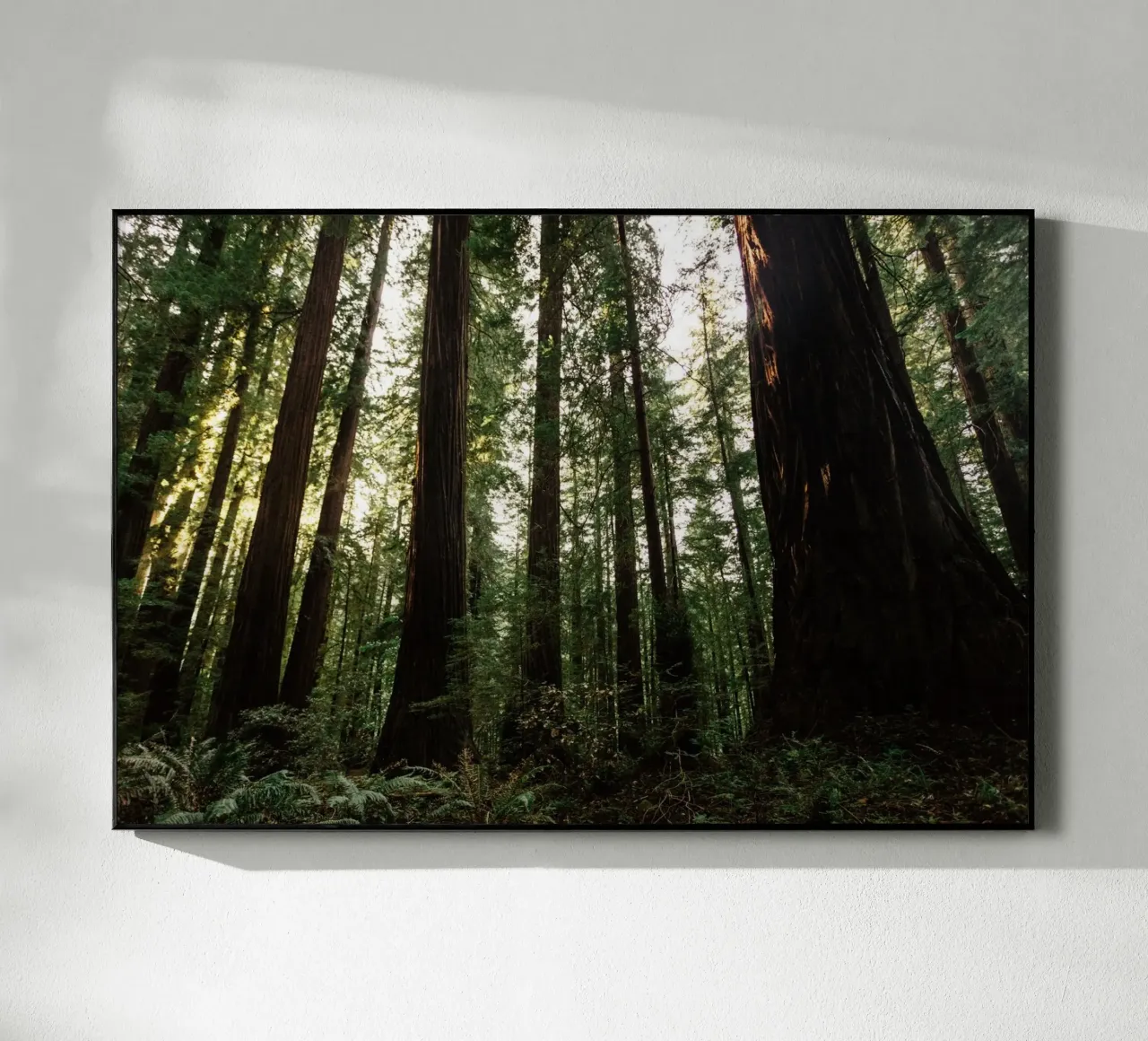 Sussurri del bosco plexiglass da PhotoVibe Decor