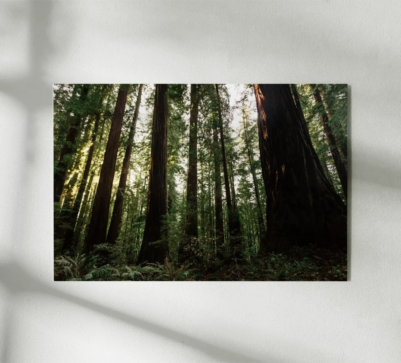 Sussurri del bosco plexiglass da PhotoVibe Decor