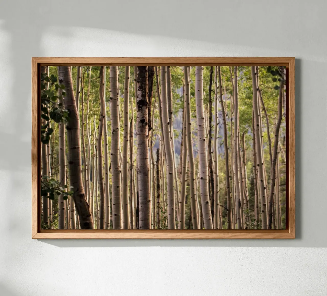 Whispers of the Woods canvas with Floater frame by PhotoVibe Decor