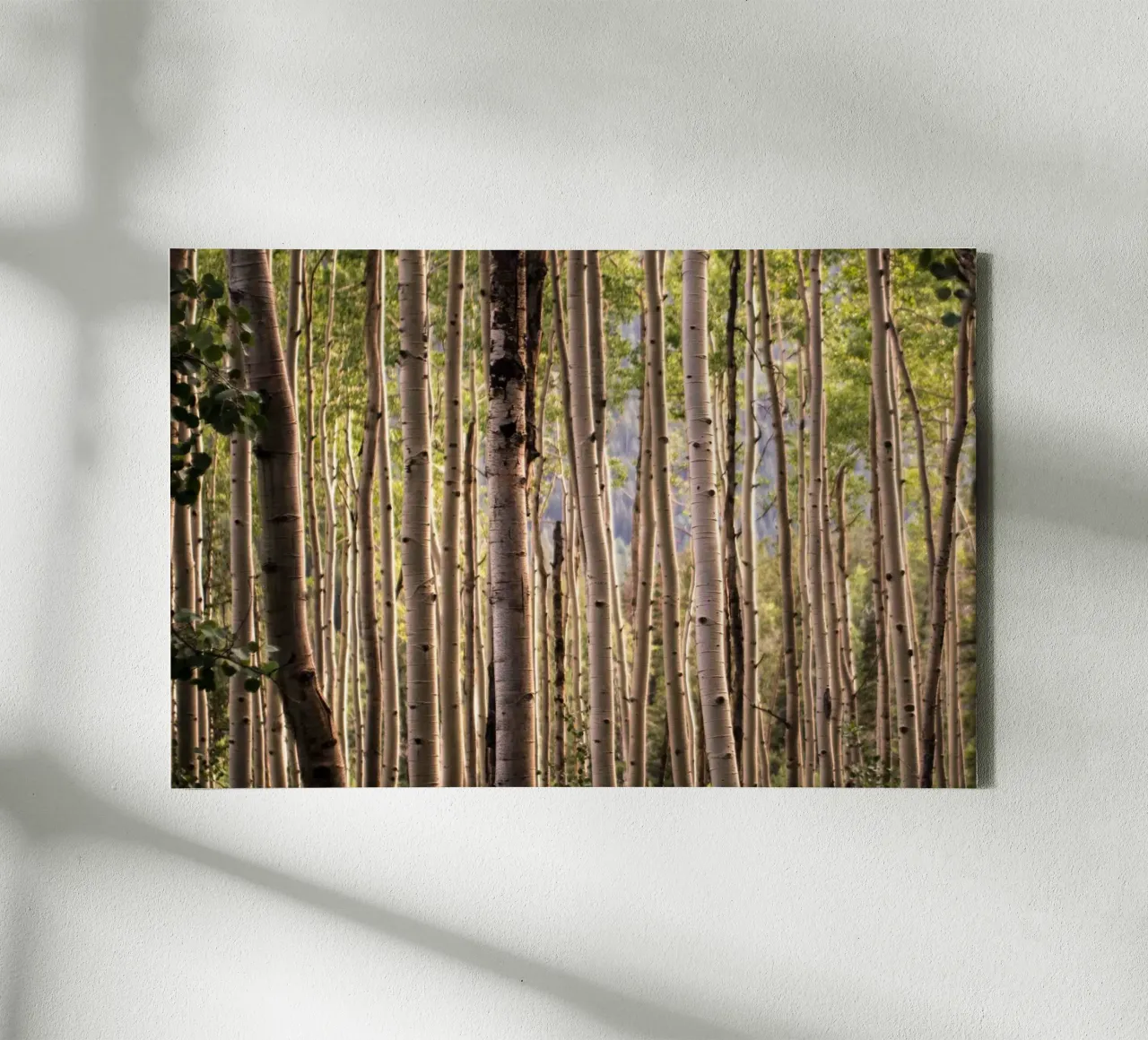 Whispers of the Woods canvas with Floater frame by PhotoVibe Decor