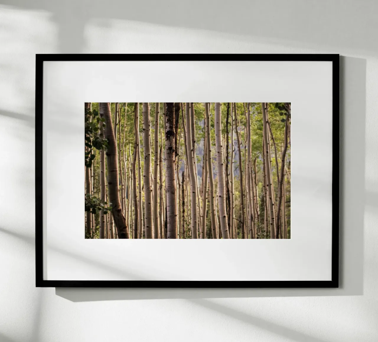 Das Flüstern der Wälder Poster von PhotoVibe Decor