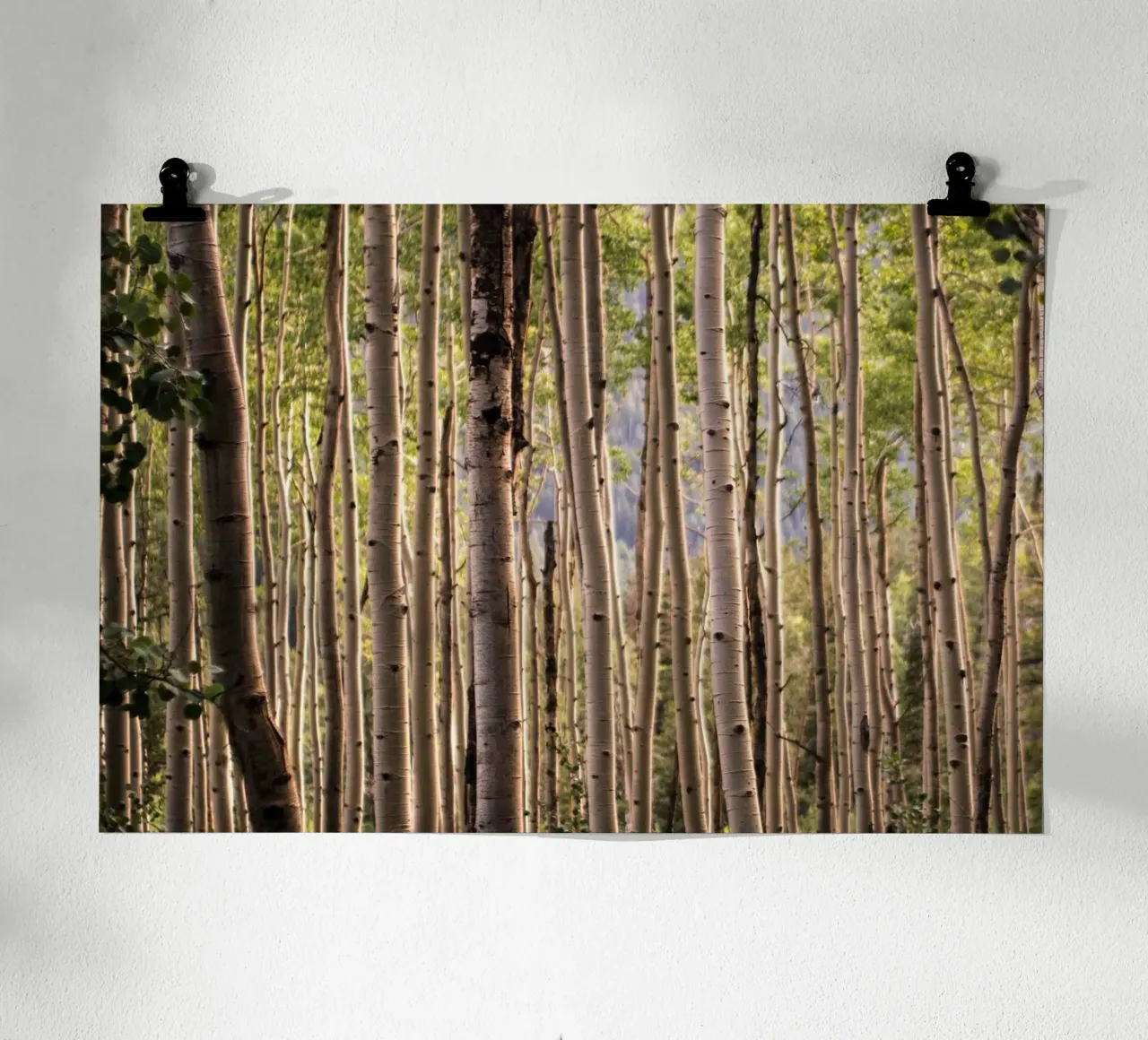 Das Flüstern der Wälder Poster von PhotoVibe Decor