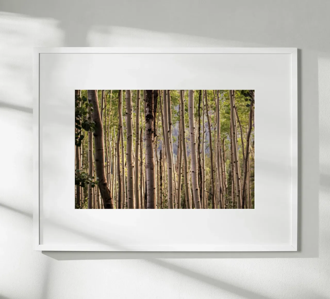 Das Flüstern der Wälder Poster von PhotoVibe Decor