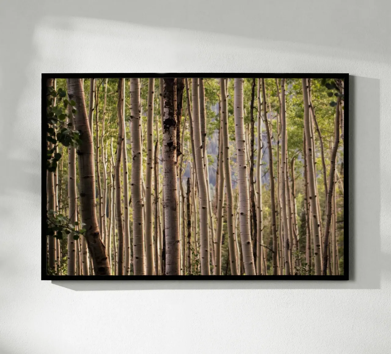 Das Flüstern der Wälder Poster von PhotoVibe Decor