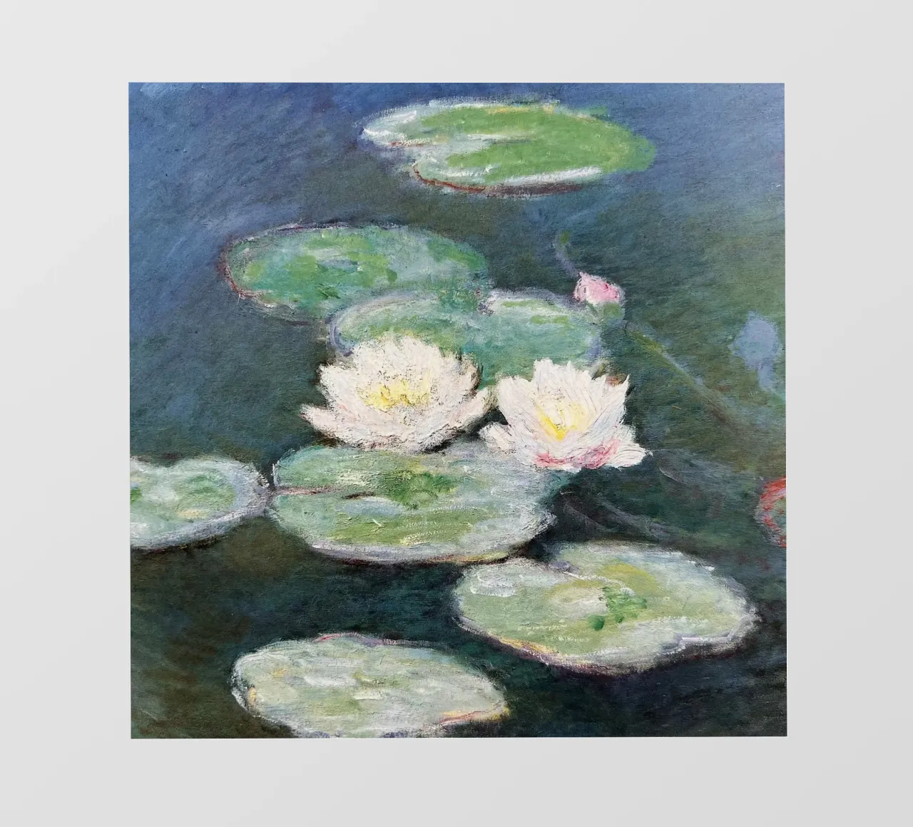 fiori di loto nello stagno telo in pvc da SMG Store