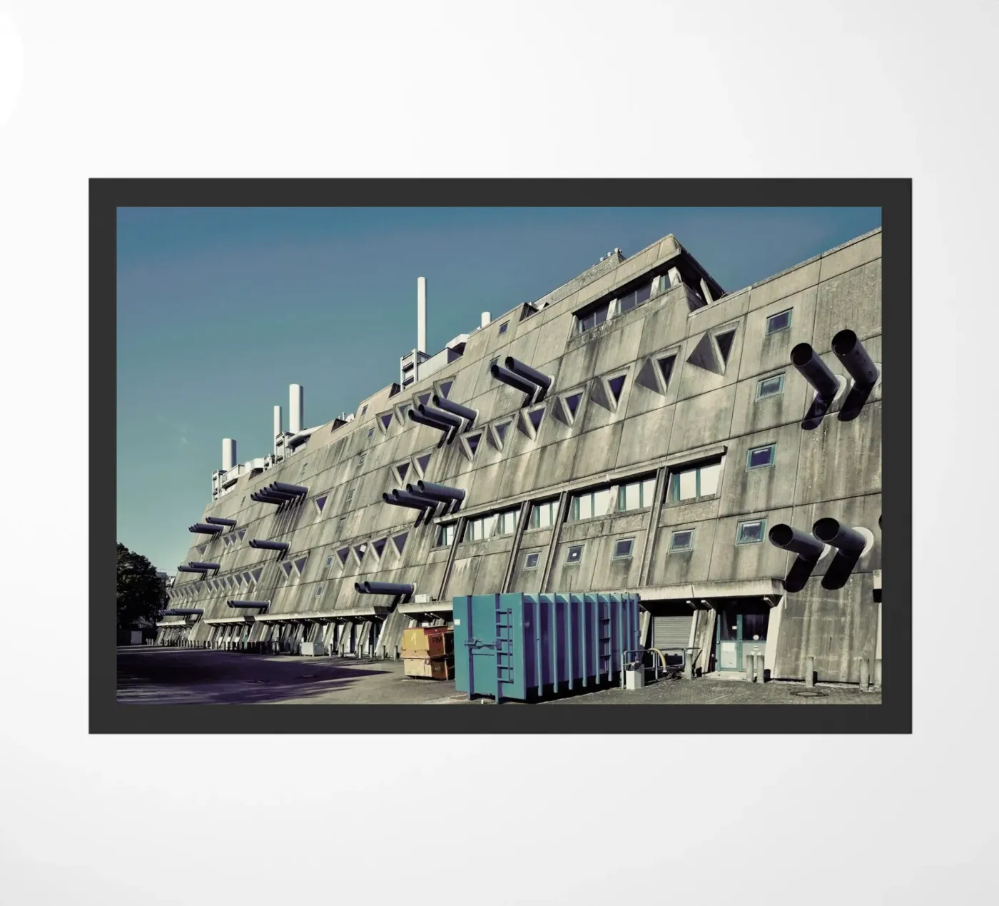 Maeusebunker 01 zerbino da Michael Belhadi