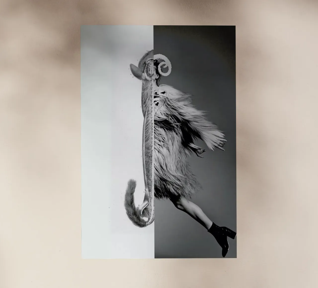 Monkey Lady pellicola backlit da Taher Mhamdi