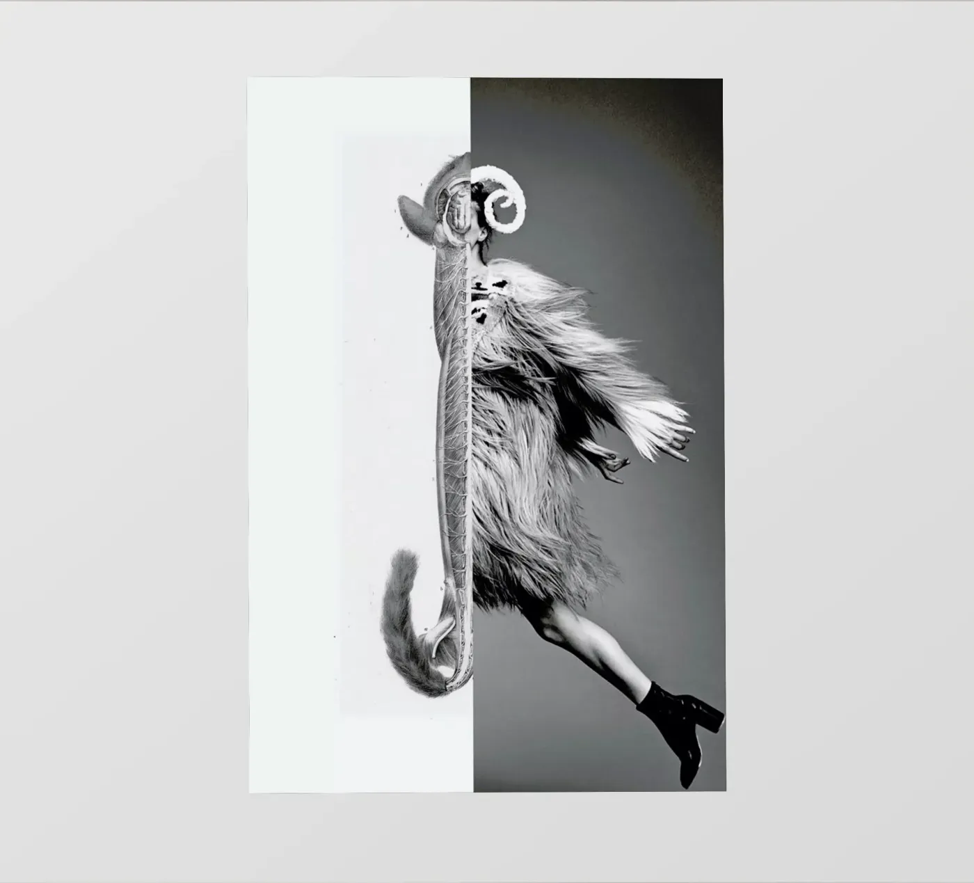 Monkey Lady pellicola backlit da Taher Mhamdi