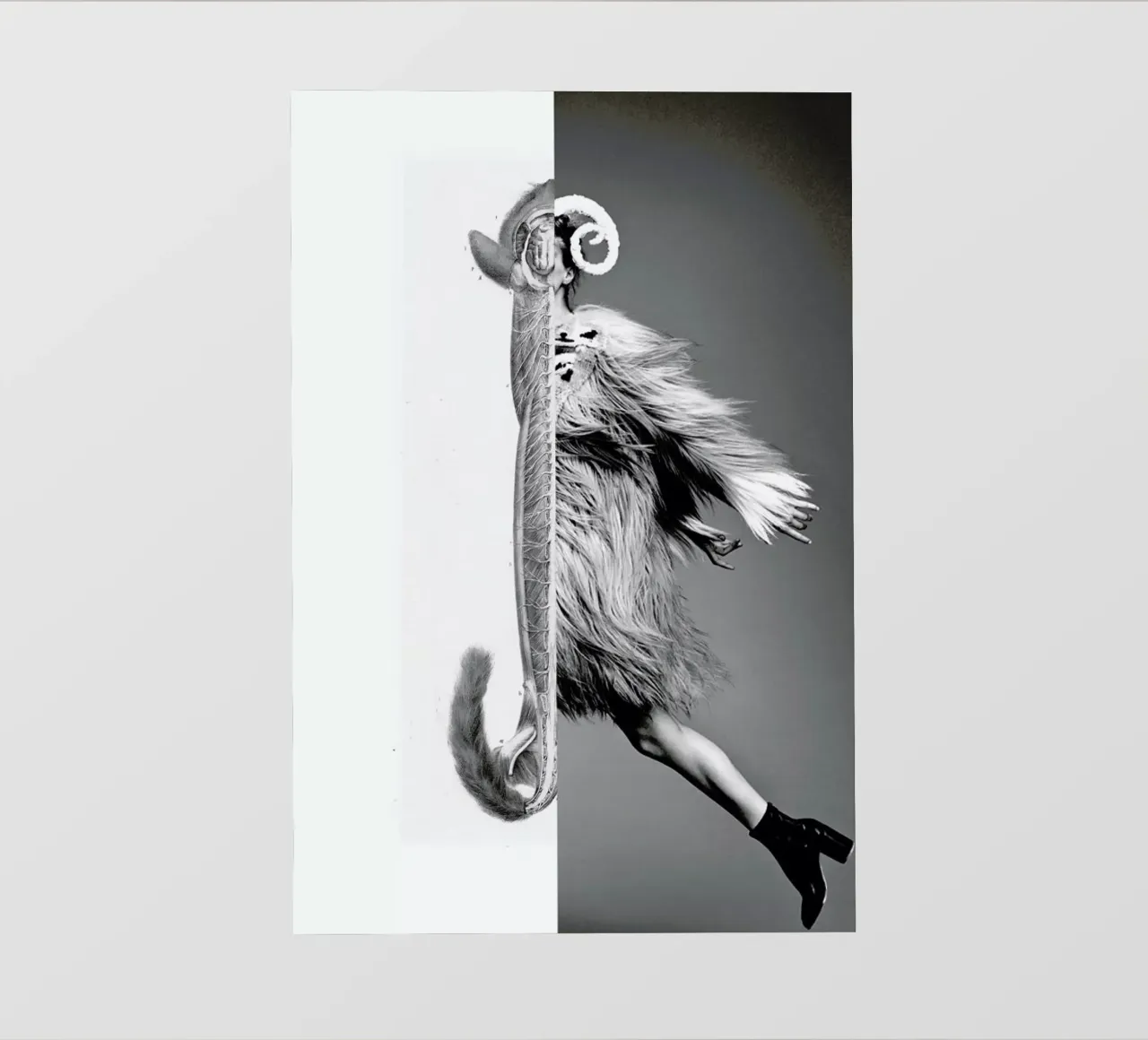 Monkey Lady pellicola backlit da Taher Mhamdi