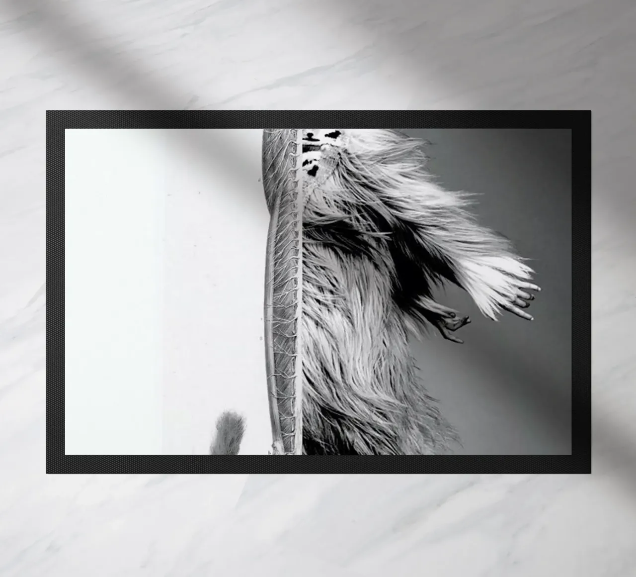 Monkey Lady zerbino da Taher Mhamdi