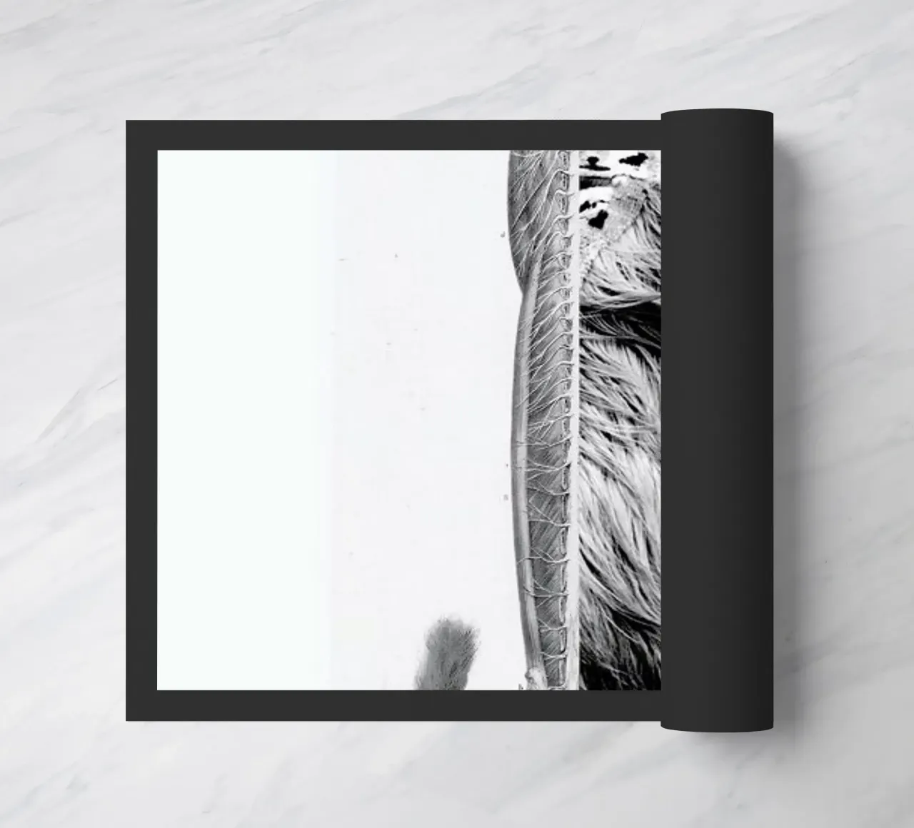 Monkey Lady zerbino da Taher Mhamdi