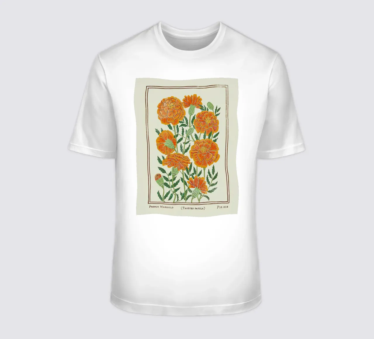 Calendula francese t-shirt da harris shop