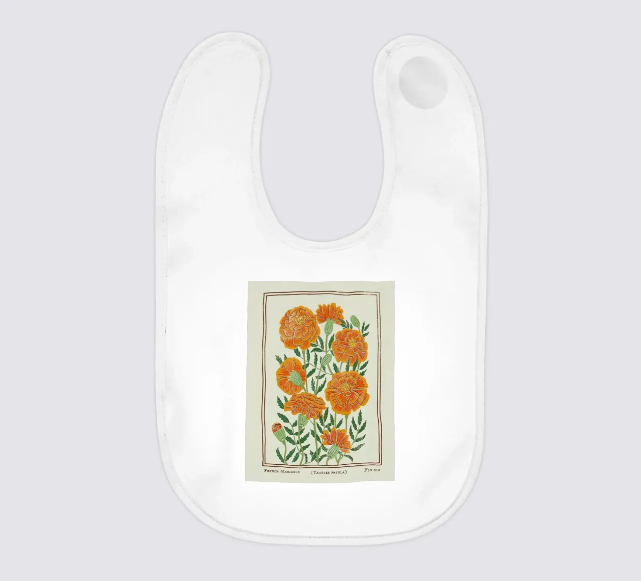 Calendula francese bavaglino da harris shop