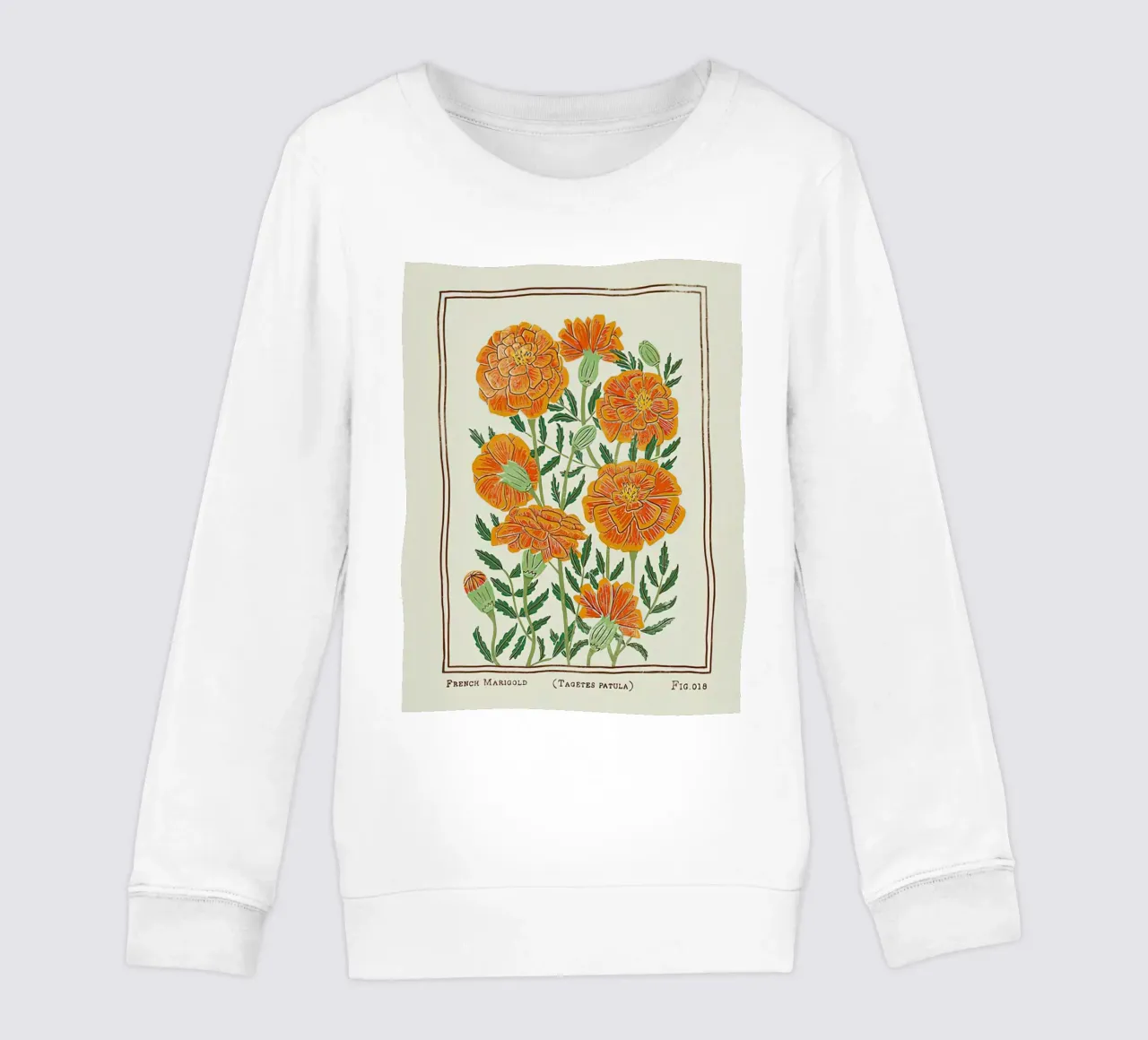 Calendula francese felpa bambino da harris shop