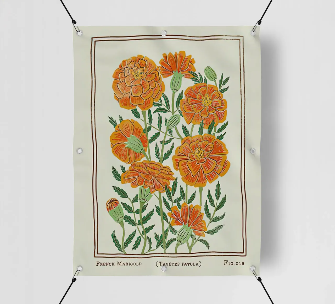Calendula francese telo in pvc da harris shop