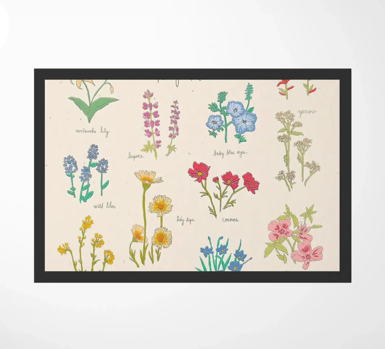Fiori selvatici del Pacifico nordoccidentale zerbino da harris shop