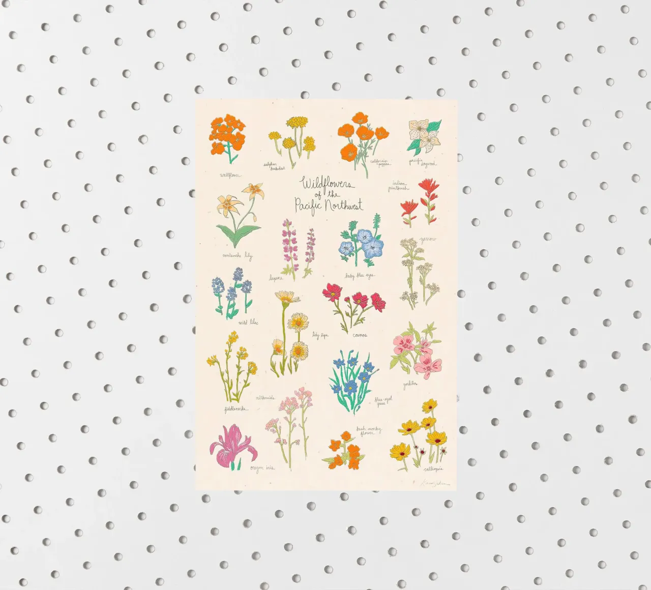 Fiori selvatici del Pacifico nordoccidentale adesivo da harris shop