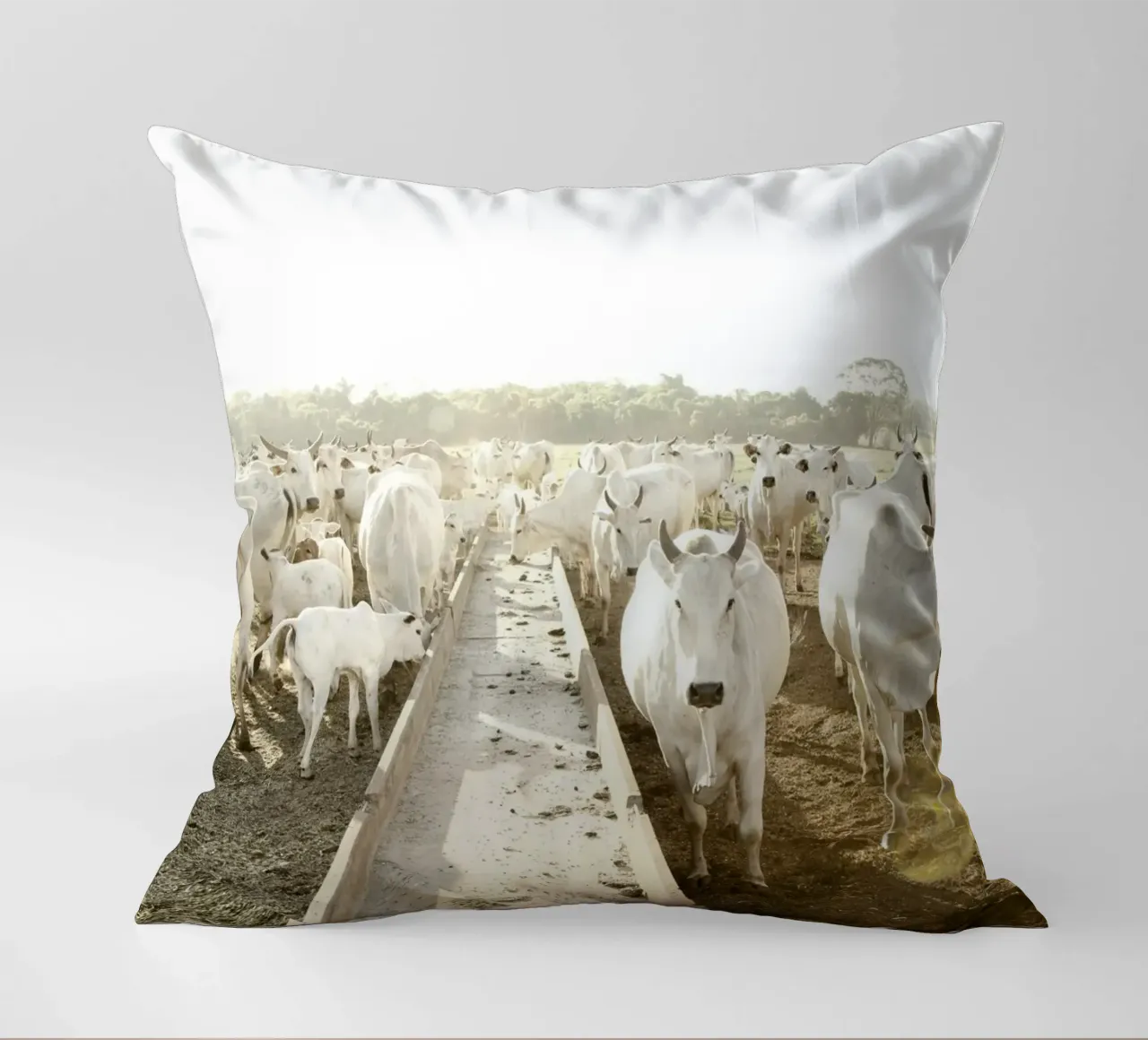 White Cows on Farm cuscino da KISSA STUDIO