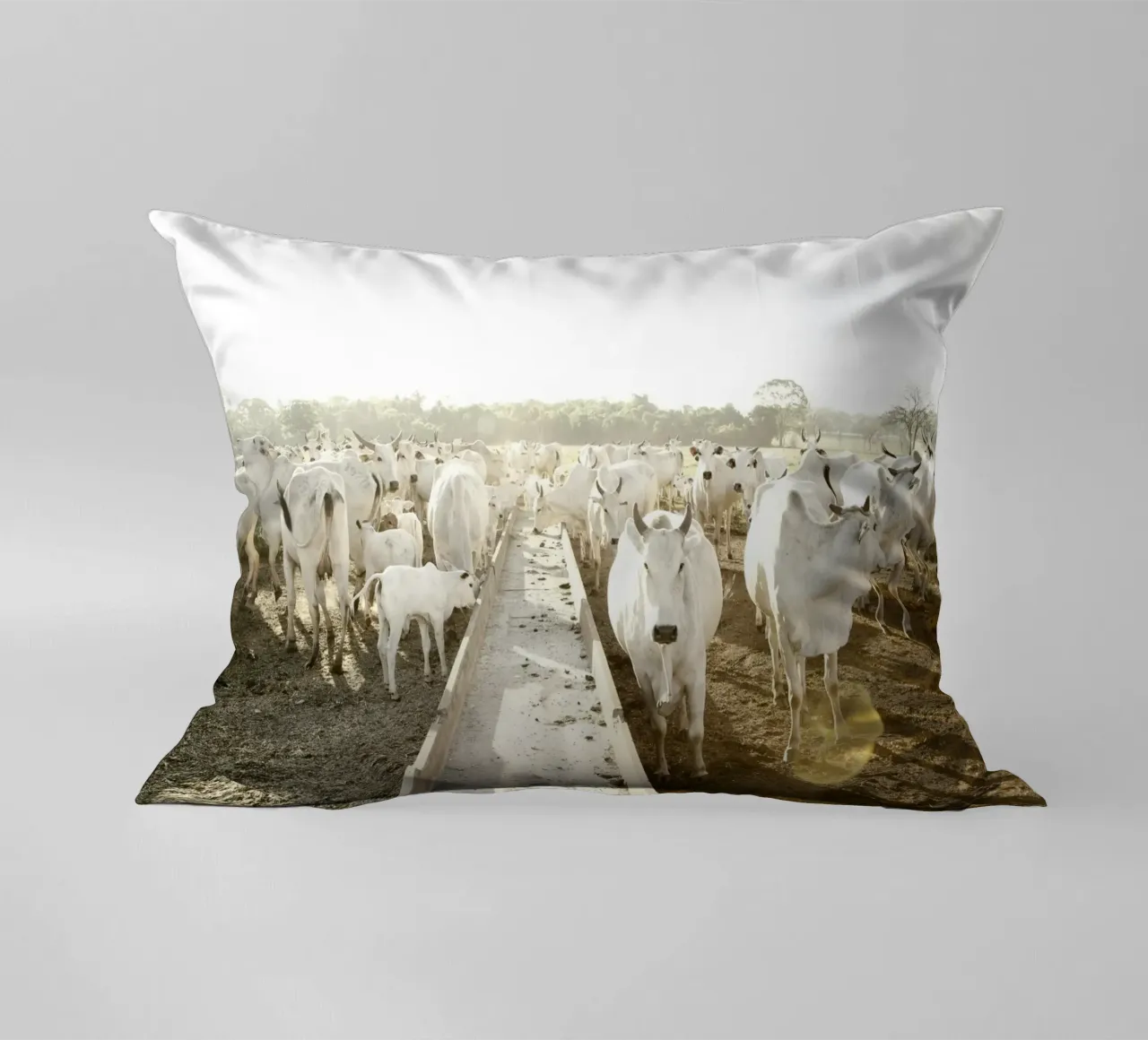 White Cows on Farm cuscino da KISSA STUDIO