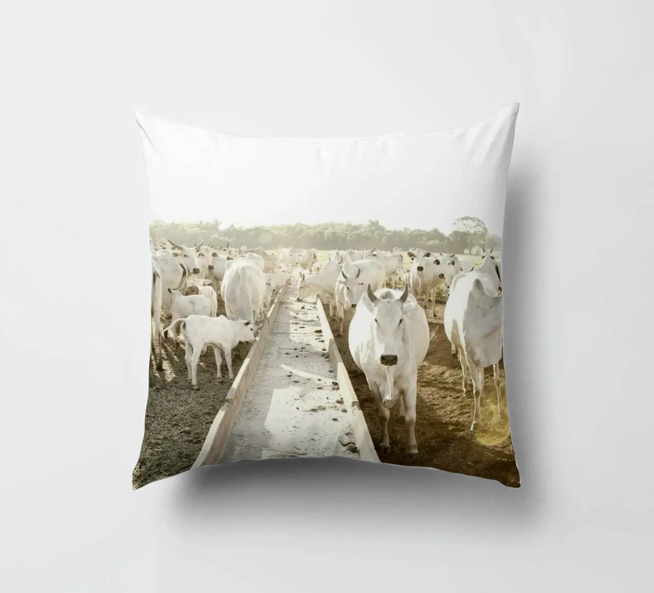 White Cows on Farm cuscino da KISSA STUDIO
