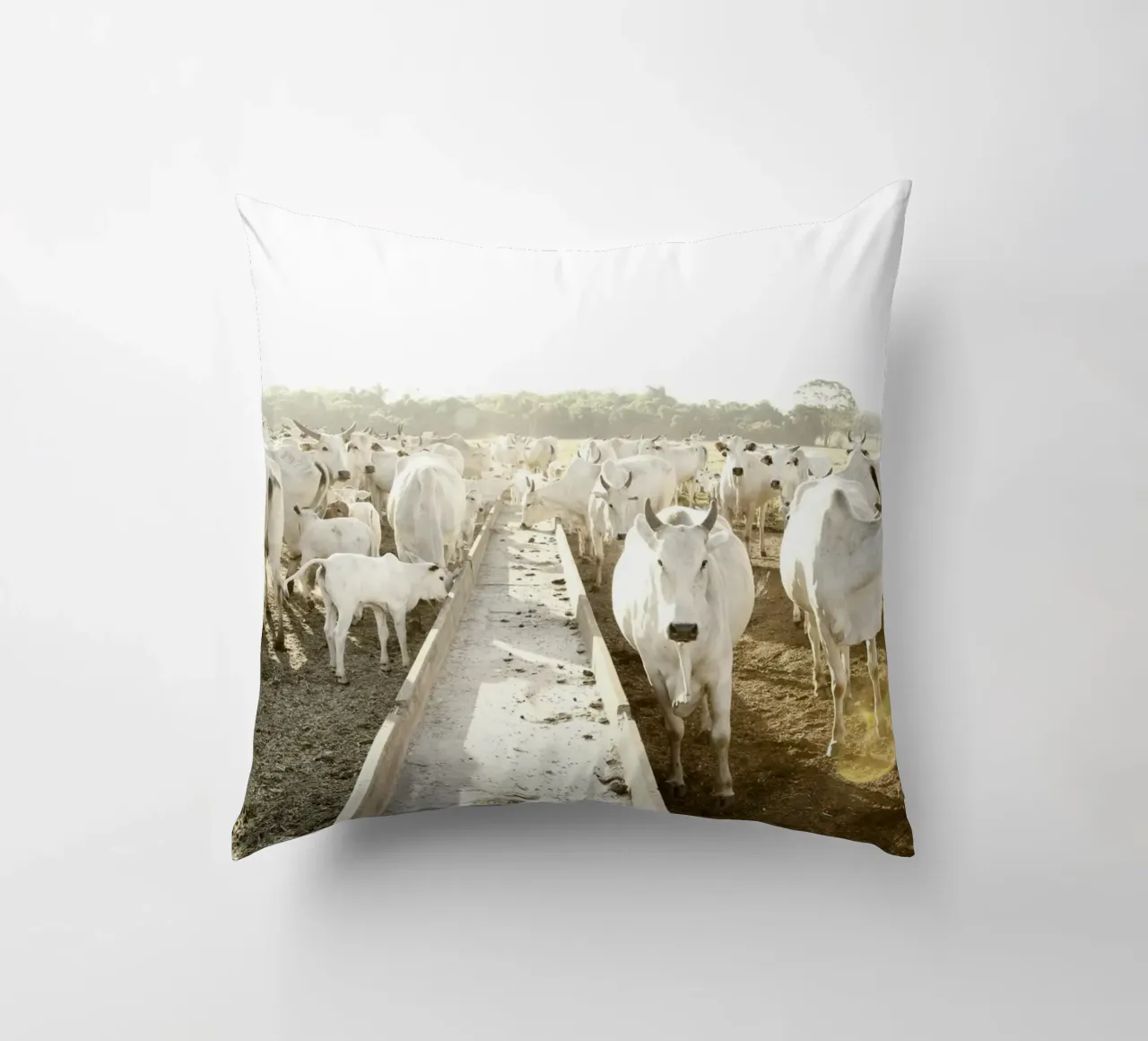 White Cows on Farm cuscino da KISSA STUDIO