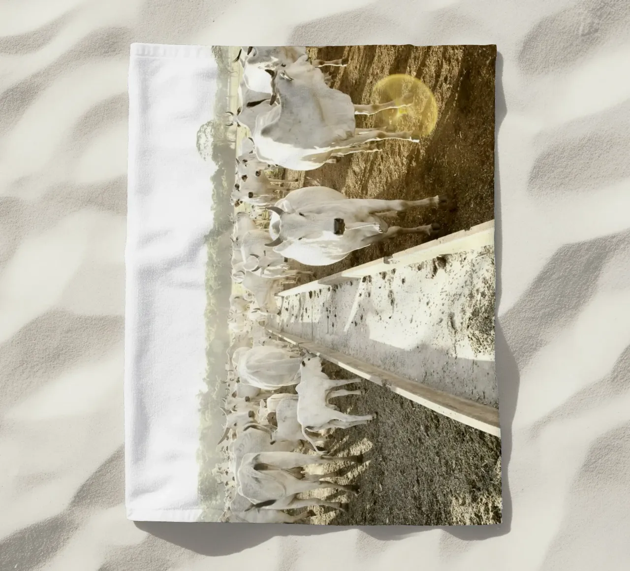 White Cows on Farm telo mare da KISSA STUDIO