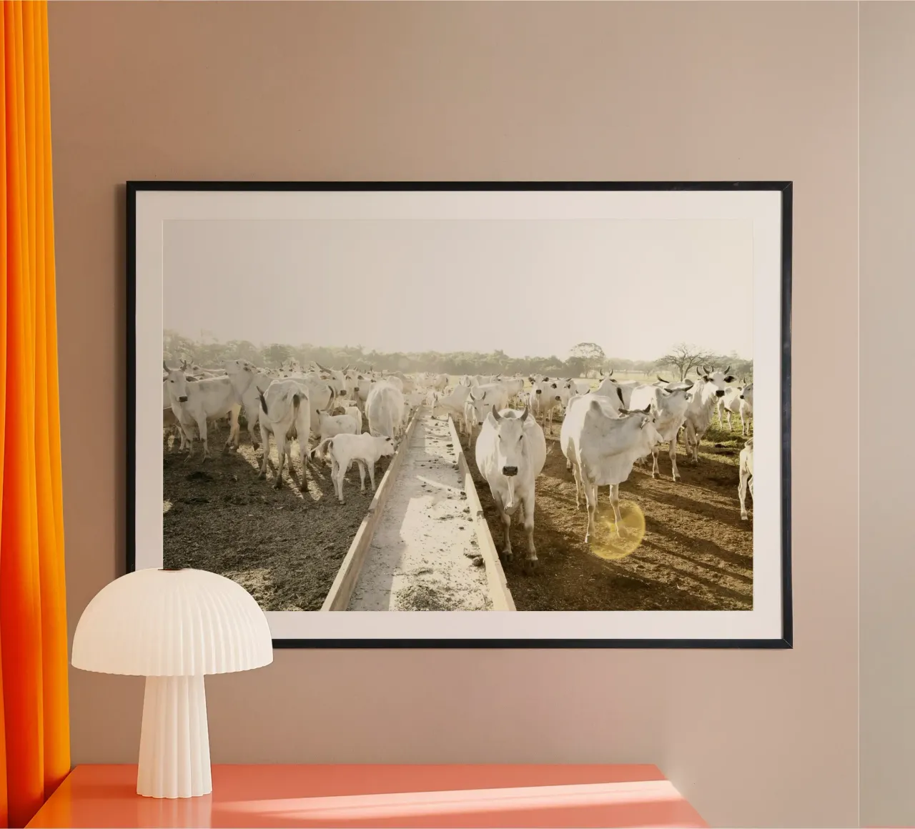 White Cows on Farm poster da KISSA STUDIO